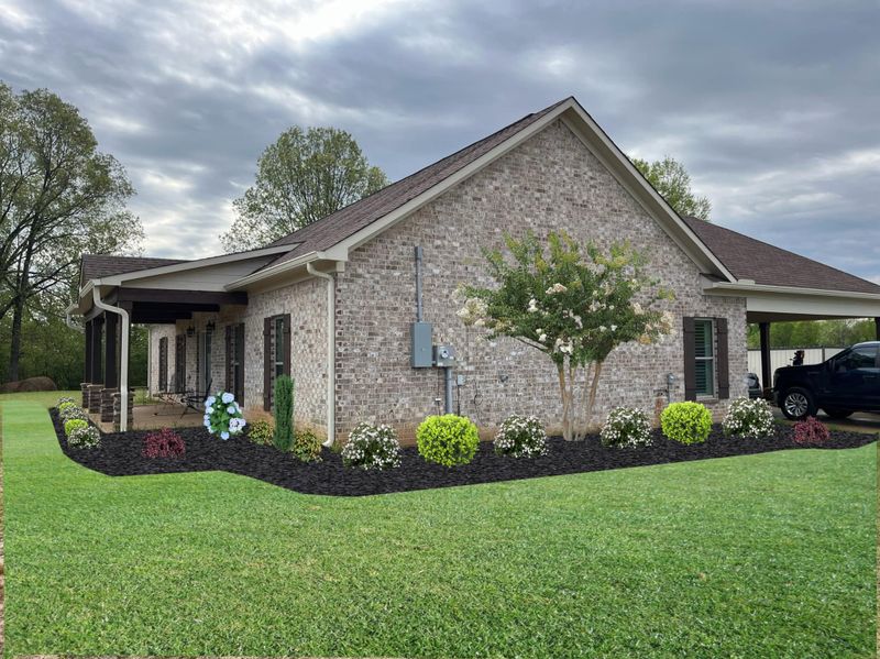 Landscape Design