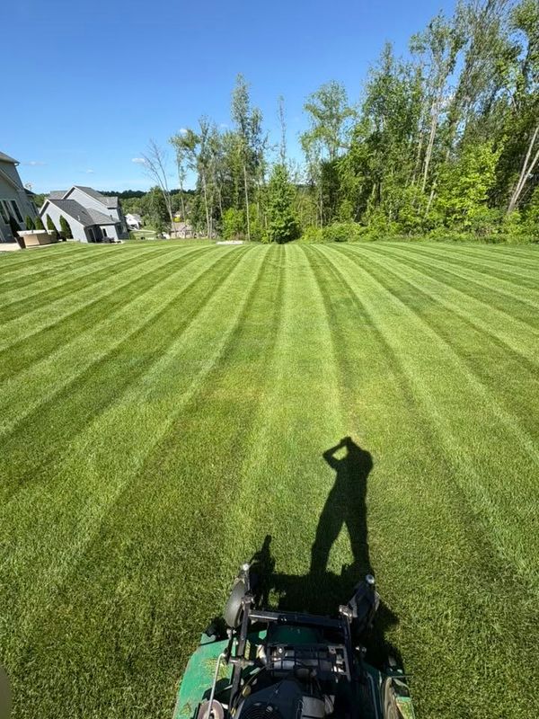 Lawn Maintenance