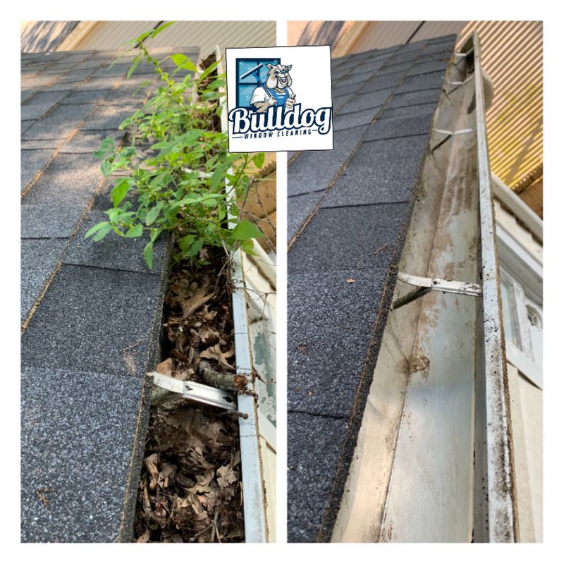 Gutter Cleaning