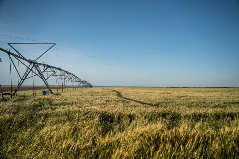 Agricultural Electrical