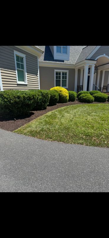 Garden Designs