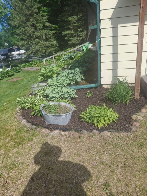 Landscape Design