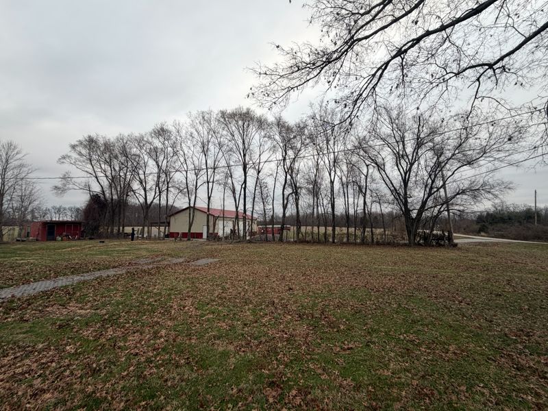 Revitalizing Williamsburg: Anstaetts Tree Service Transforms Local Landscape