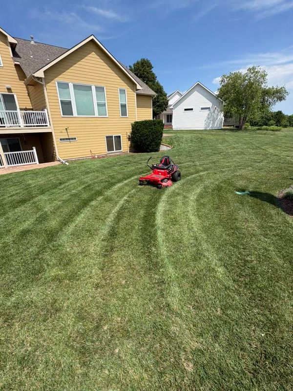 Lawn Maintenance