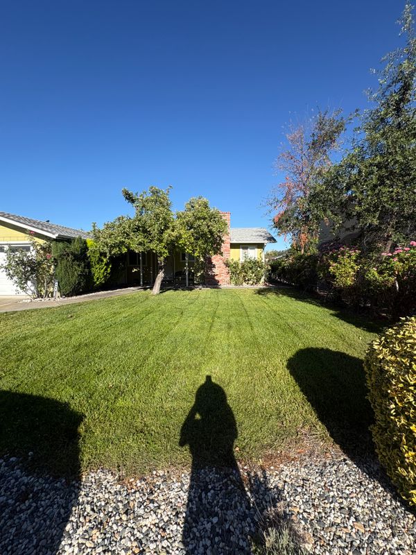Lawn Maintenance