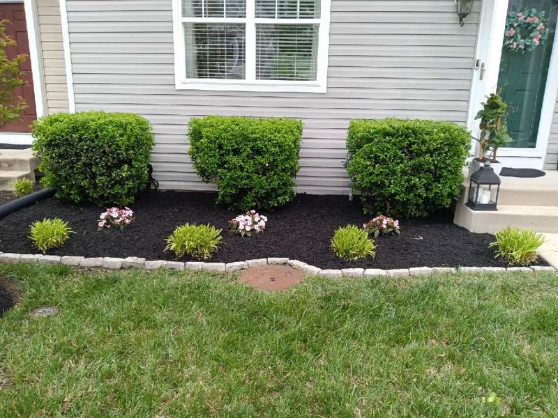 Landscape Design/Mulching