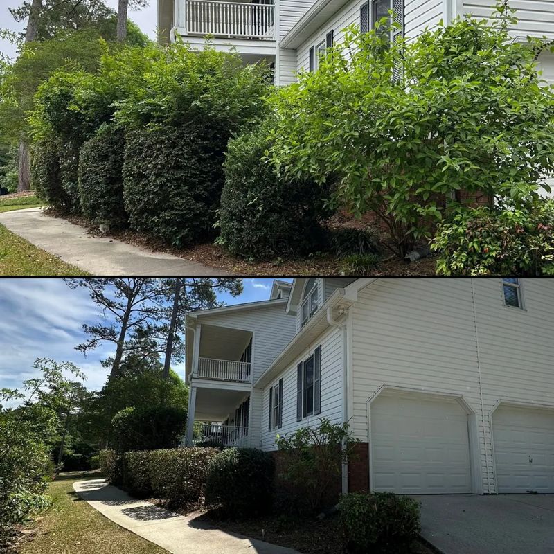 Shrub Trimming