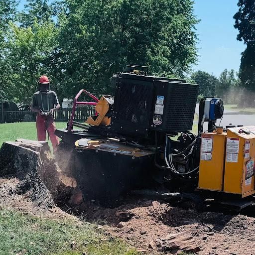 Tree Removal