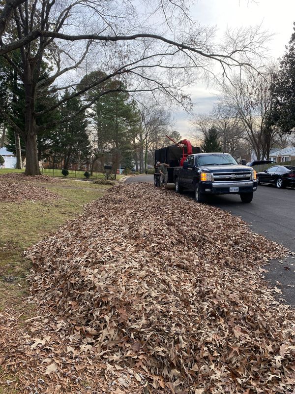 Fall Clean Up