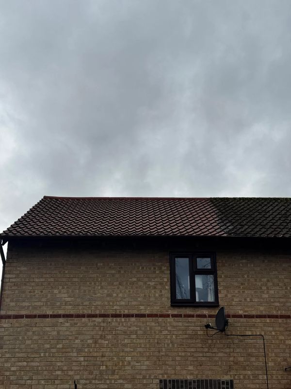 Pressure Washing