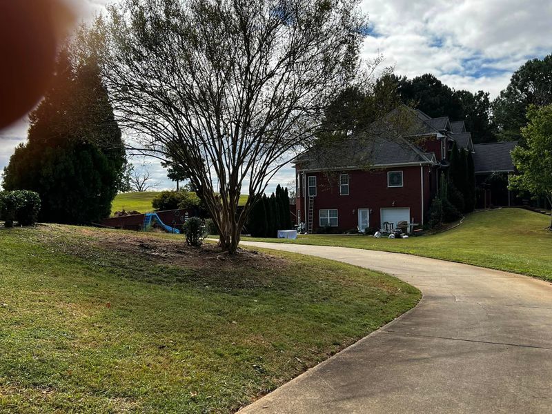 Lawn Care
