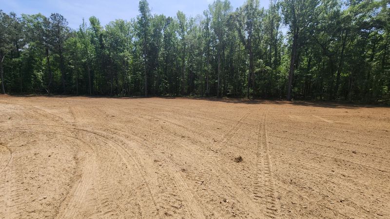Brush Clearing