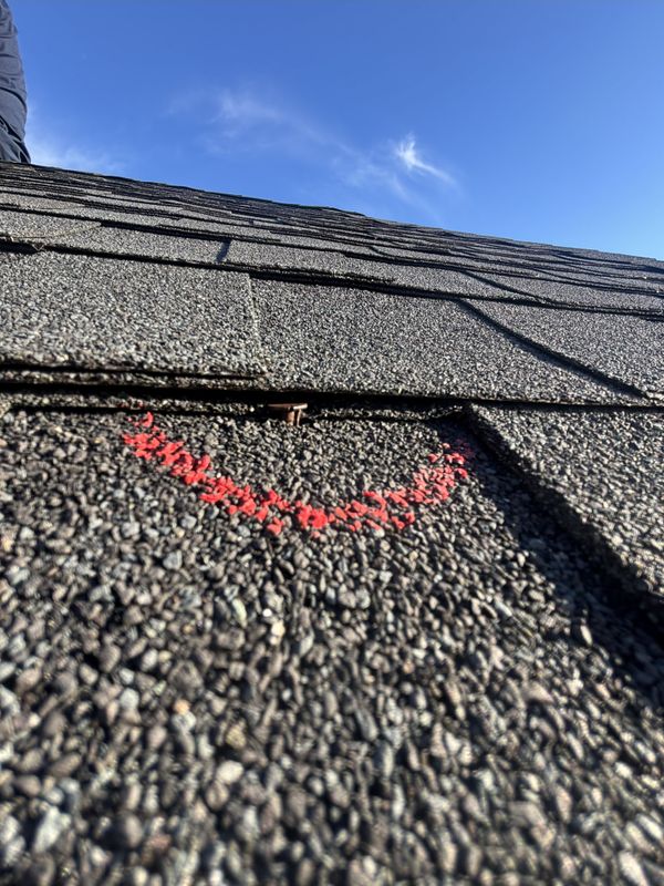 Roof Assessment