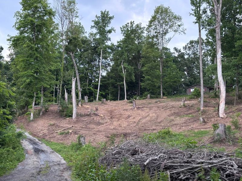 Forestry Mulching