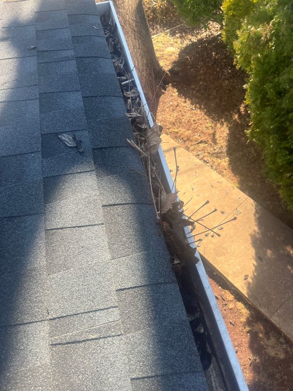 Gutter Cleaning