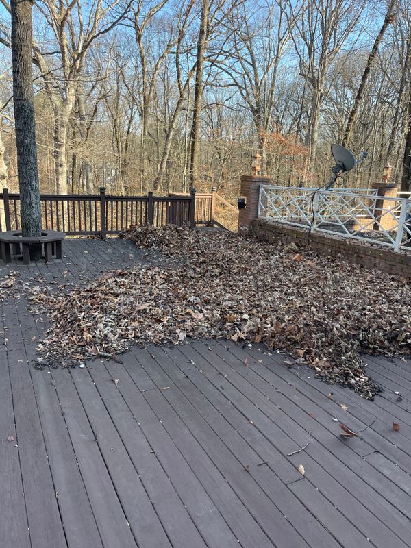 Fall Clean Up