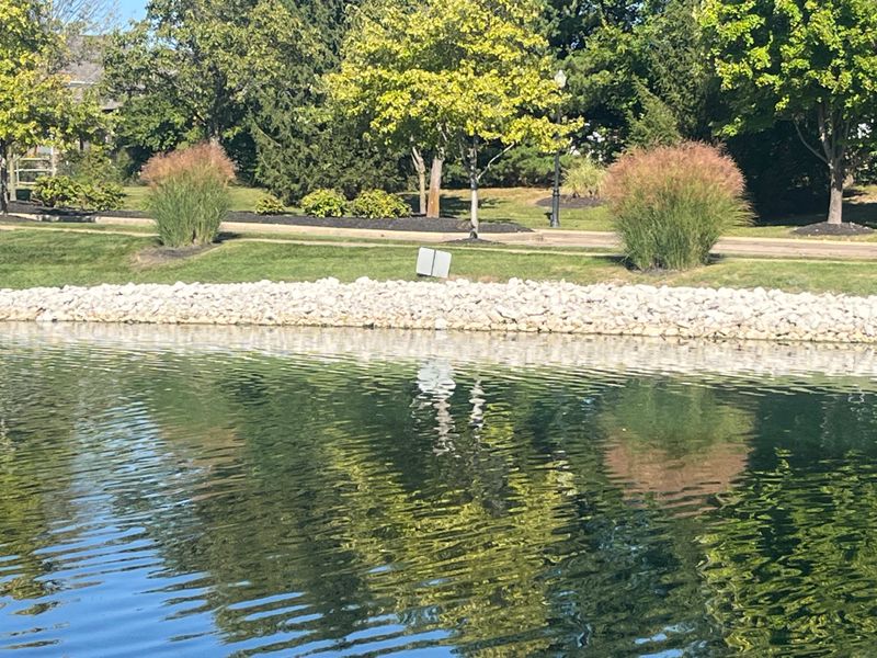 Pond Building and Maintenance