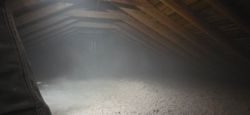 Eco-Friendly Insulation Options