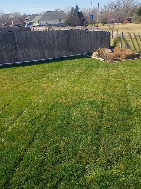 Lawn Maintenance