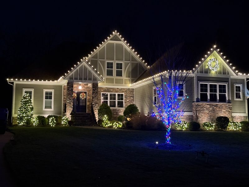 Holiday Lighting