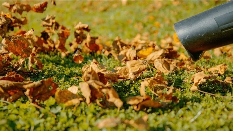 Garden Maintenance