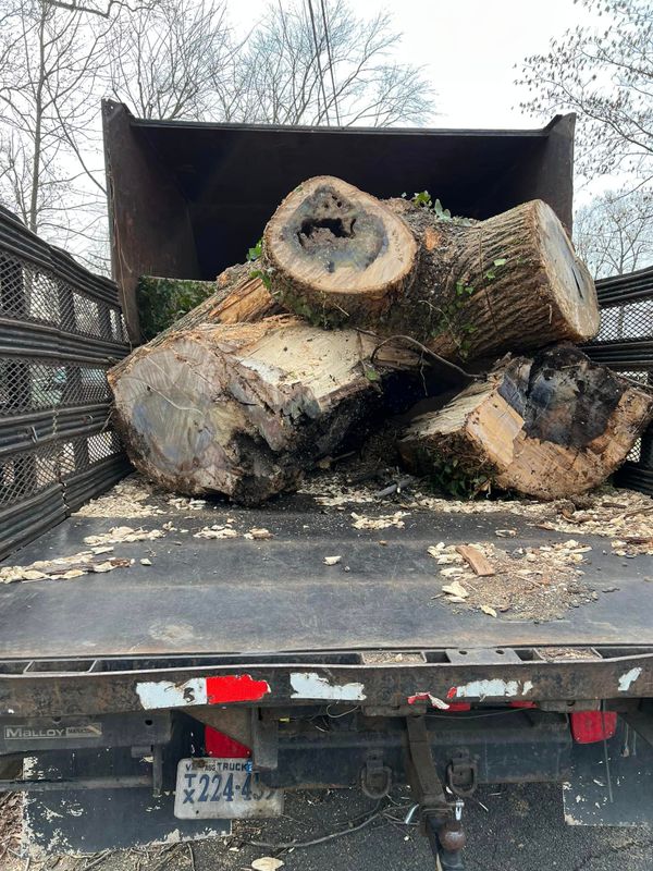 Tree Trimming and Removal
