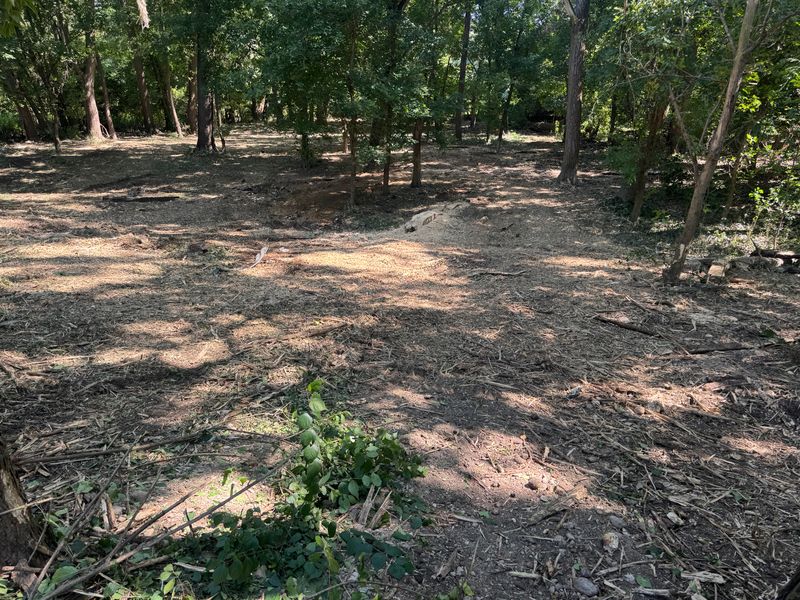 Land Clearing