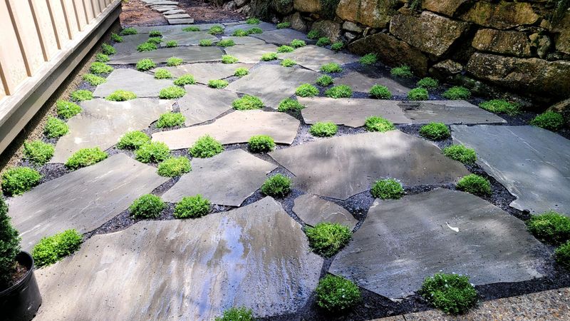 Retaining Walls, Walkways and Patios