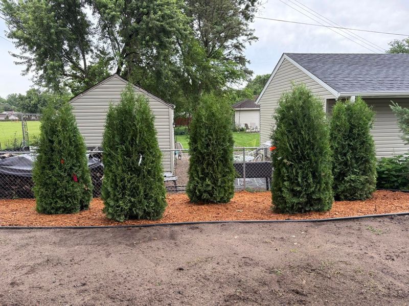 Landscaping