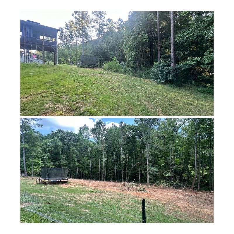 Forestry Mulching and Land Clearing