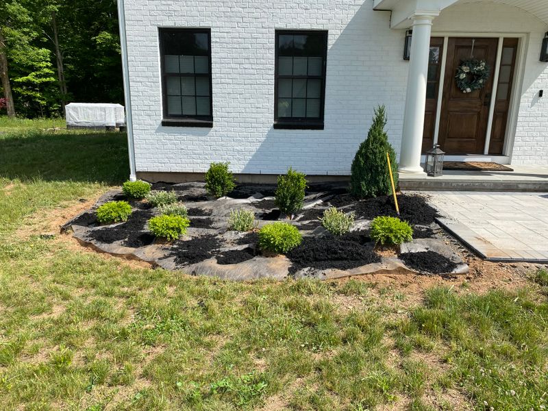Plant & Shrub Installations