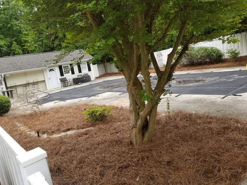 Mulch Installation