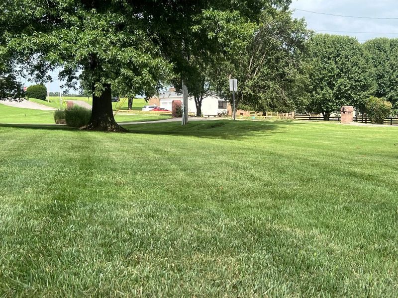 Lawn Aeration