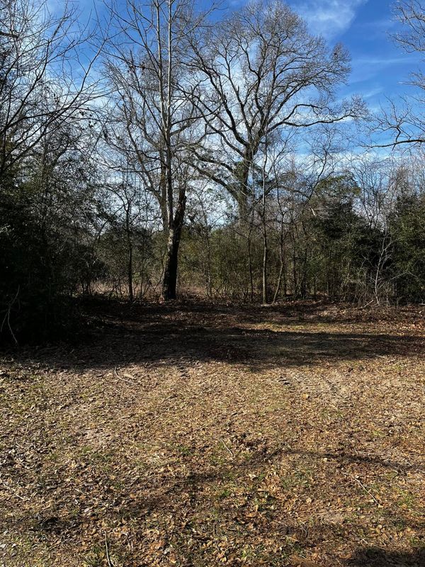 Land Clearing