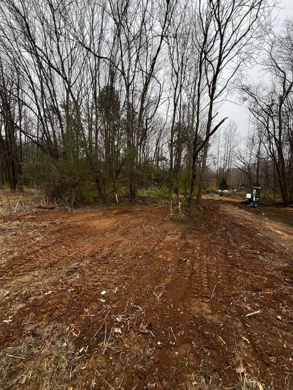 Land Clearing