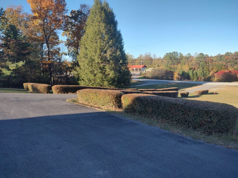 Tree & Shrub Care