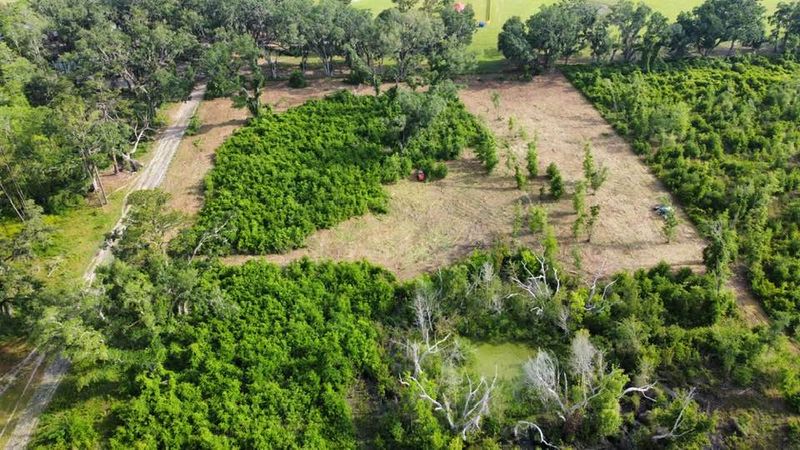 Transforming Overgrown Land into Usable Space