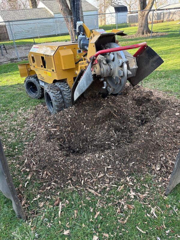Stump Removal
