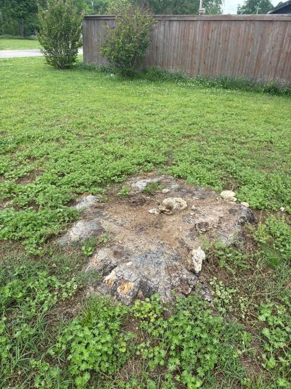 Stump Removal