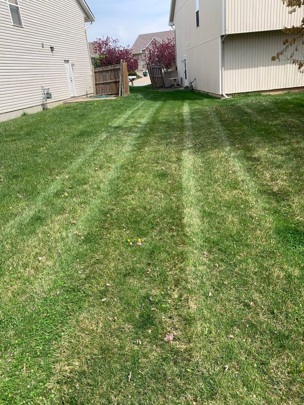 Lawn Care and Maintenance