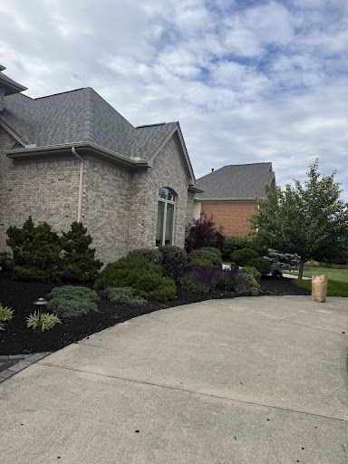Shrub Trimming