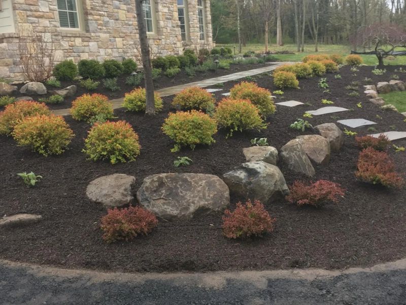 Landscape Installation