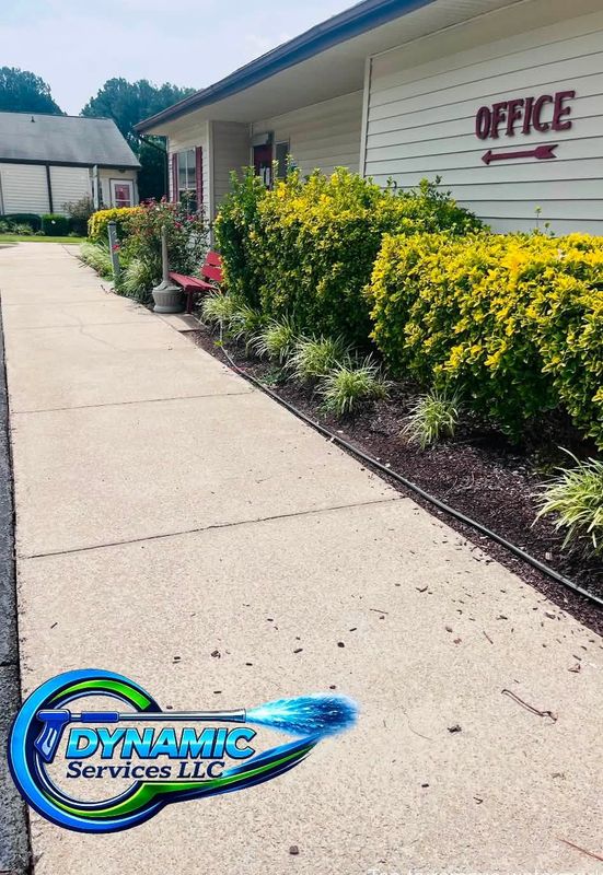 Driveway and Sidewalk Cleaning