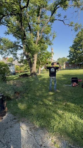 Tree Removal
