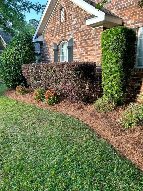 Landscape Bed Maintenance