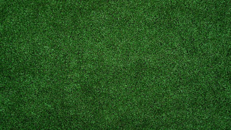 Lawn Maintenance