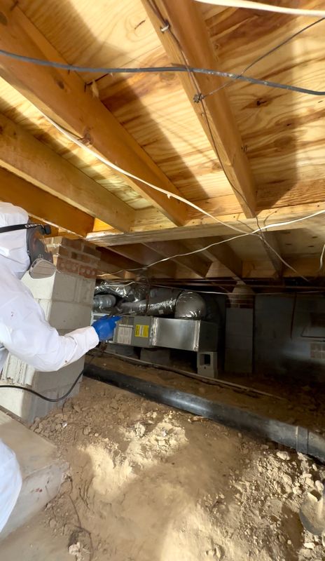 Mold Remediation