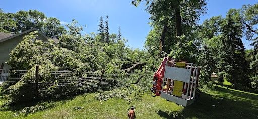 Tree Trimming