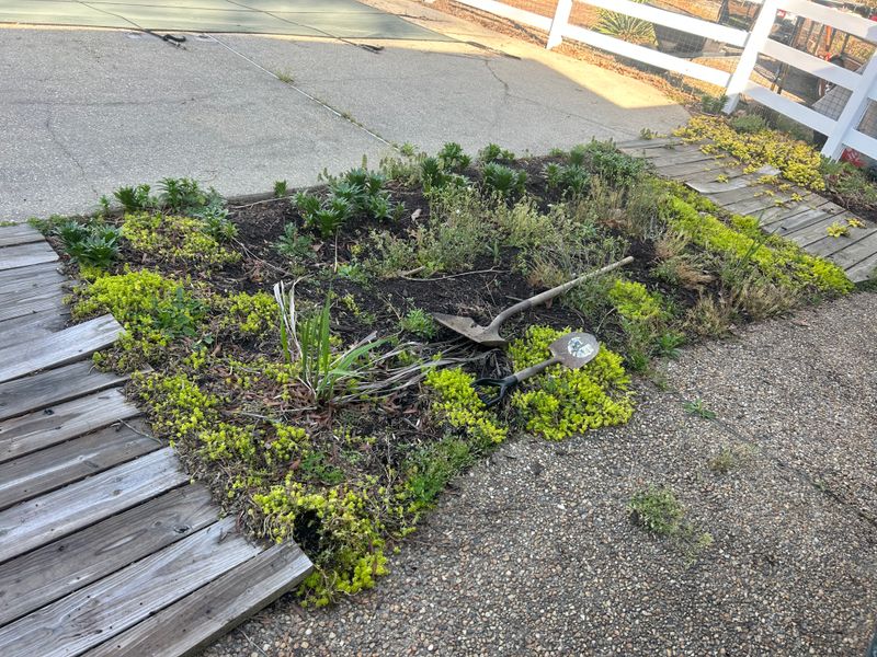 Flower Bed Installation  gallery