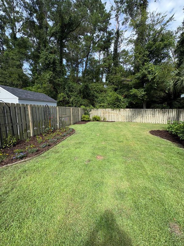 Lawn Maintenance